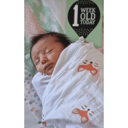 Fox | Organic Swaddle Wrap &amp; Beanie